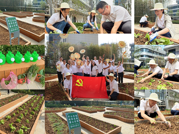 六安公司党总支开展“躬耕实践强党性，，，，，携手共建新田园”主题党日活动