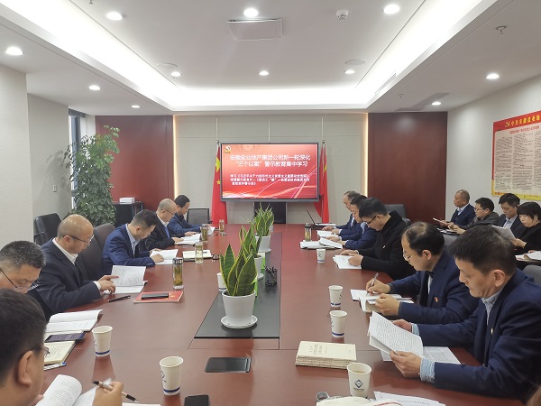 安徽俄罗斯专享会294地产集团公司开展新一轮深化“三个以案”警示教育集中学习