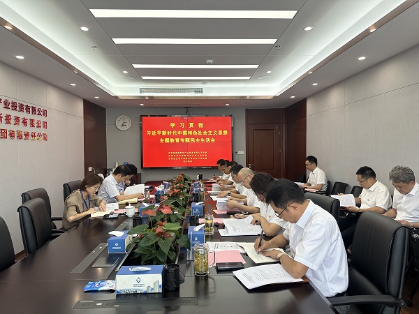 安徽俄罗斯专享会294地产集团等三家公司党委召开学习贯彻习近平新时代中国特色社会主义头脑主题教育专题民主生涯会
